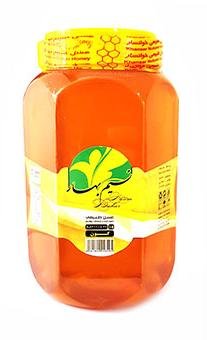 عسل طبیعی گون نسیم بهار 2000 گرم