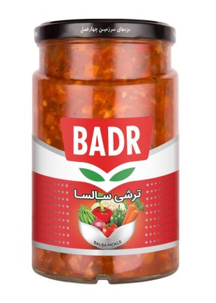ترشی سالسا بدر 640 گرم