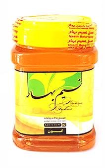 عسل طبیعی گون نسیم بهار 1000 گرم
