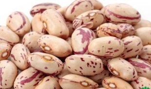 لوبیا چیتی نگین 900 گرم