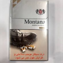 مونتانا نانو نقره ایی