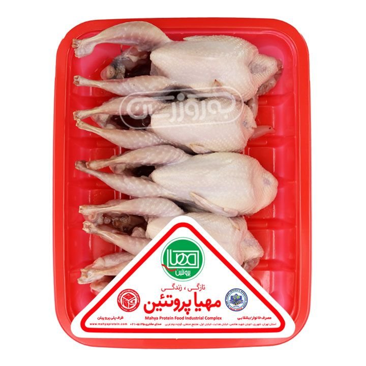بلدرچین تازه مهیا پروتئین 800 گرم