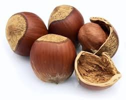 فندوق پوست دار 1000