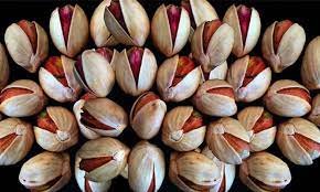 پسته کله قوچی